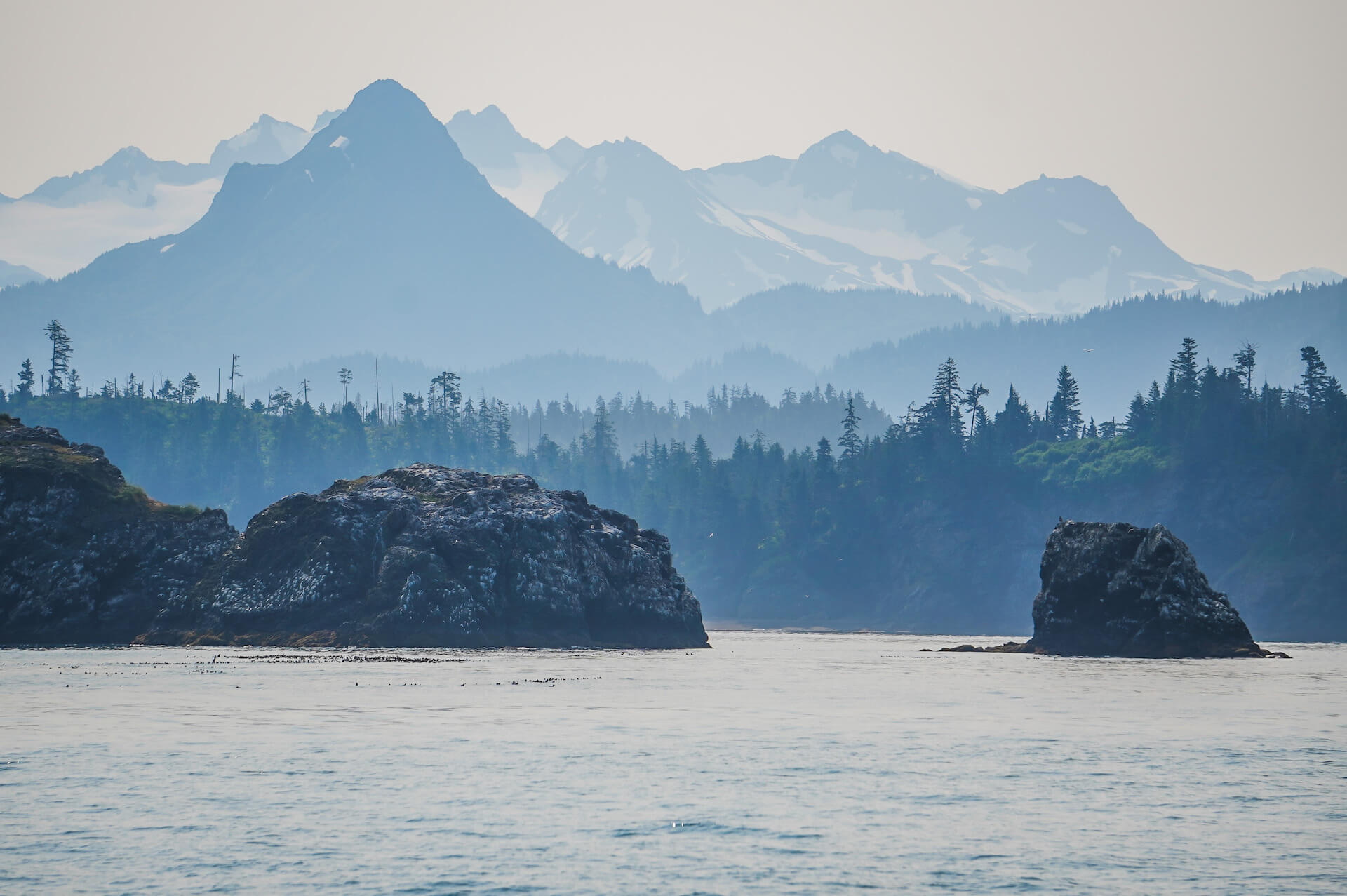 best tours homer alaska.jpg